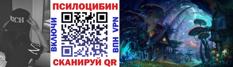 наркота  Заполярный  гидра ссылки  Галлюциногенные грибы Magic Shrooms 