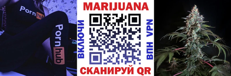 Канабис гибрид Заполярный